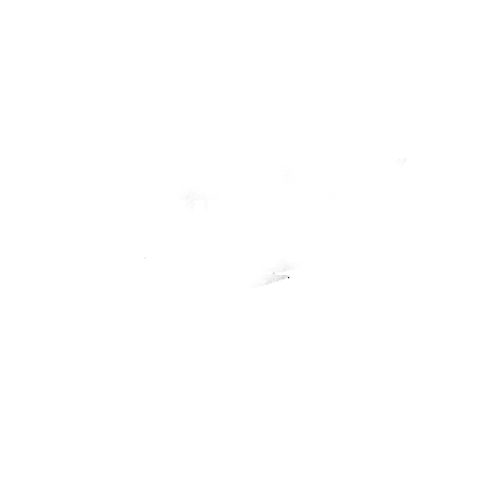 LEVITICAL 